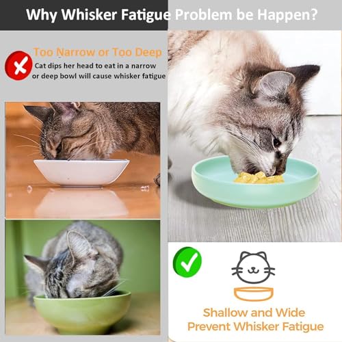 Ceramic Cat Bowls,Shallow Cat Dishes for Food and Water, 6 inch Matte Finish Wide Cat Food Bowl,Whisker Fatigue Free Pet Puppy Kitten Bowl Set of 3,Dishwasher Safe - color: Mint green