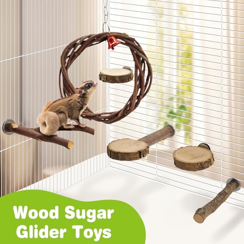 BNOSDM 6 Packs Wooden Sugar Glider Cage Accessories Rat Climbing Toys with Swing, Perch Stands & Platforms, Small Animal Habitat Decor for Chinchilla, Squirrel, Gerbil, Hamster - color: 6PCS-Wooden Swing & Perch Platform Set