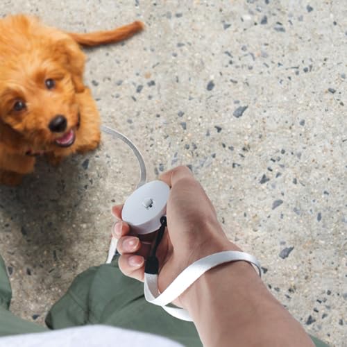 SlowVibes Bling Mini Retractable Dog Cat Leash, 6.5 ft, for Small Pet | Portable rhinestone leash for small dogs, cats, rabbits up to 11 lb, anti-pull strong nylon tape, wrist strap, one-hand brake