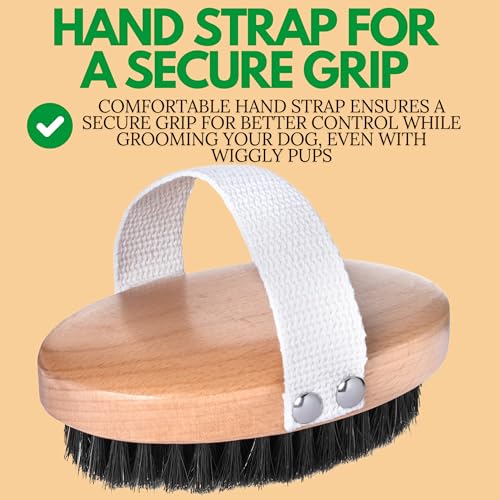 GranNaturals Soft Bristle Dog Brush for Short Haired Dogs & Cats w/Strap - Wooden Handle & Gentle Boar Bristles for Deshedding, Smoothing and Grooming Pet Hair Fur to Give Naturally Shiny Coat
