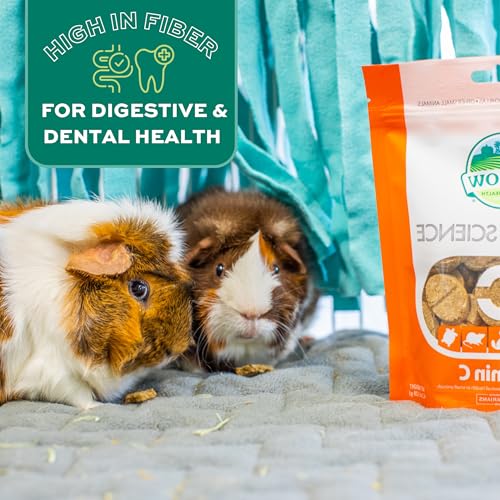 Oxbow Vitamin C Guinea Pig Supplement, High-Fiber Timothy Hay, 4.2 oz | Stabilized Vitamin C, High Fiber, Guinea Pig Vitamin C, Timothy Hay, Immune Health, Small Pet Supplies, Vet Recommended - size: 4.2 Ounce (Pack of 1)