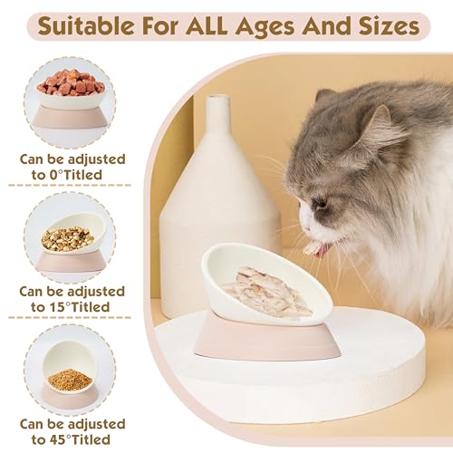French Bulldog Food Bowl- Slanted Tilted Pug Food Water Bowl,Cat Bowl- Feeder for Frenchie/Shih Tzu/Flat Faced Small Dogs/Puppies/Cats (Lightpink, 2 Cup) - color: Lightpink, size: 2 Cup