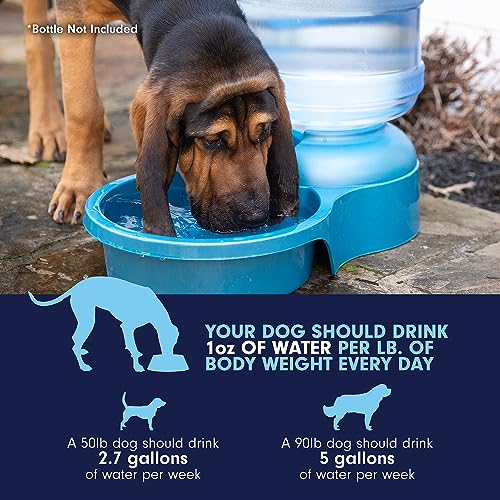 Petmate Big Blue Outdoor Water Bowl, 5 Gallons, (Water Jug Not Included), Made in USA | Jug not included, extra large refill station design, keeps multiple thirsty companions hydrated, sturdy and easy to clean