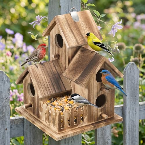 Bird House for Outside, Outdoor 3 Hole Bird House Room Bluebird Finch Wooden Hanging Birdhouse Handmade Wooden Hummingbird-House for Garden,Courtyard, Backyard Bluebirds, Finches, Cardinals