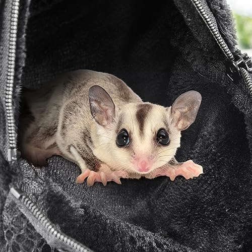 2 Pcs Sugar Glider Pouch Breathable Carrying Bonding Pouch Soft Hamster Carrier with Strap Zipper Small Animal Travel Sleeping Bag Cage Accessories for Rat Reptile Other Small Pets(Black) - color: Black