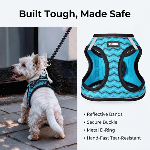 No Pull Dog Puppy Harness and Leash Set Reflective Mesh Vest XX-Small - color: Blue, size: XX-Small (Pack of 1)