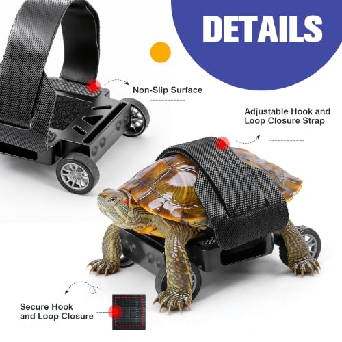 Turtle Skateboard Small Reptile Exercise Toy S | Stable 4 Wheel Training Cart for Tortoise Bearded Dragon, Safe Hook Loop Strap Fixing, Durable Green Fitness Toy - size: S