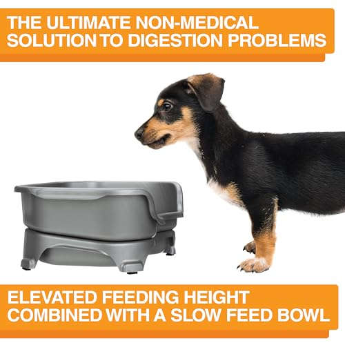 Neater Feeder Express Mess Proof Dog Bowls Elevated for Small Breed – Made in USA – No Spill Raised Slow Feeder Elevated Dog Bowl Stand, Stainless Steel Food and Water Bowl Set, Grey - color: Gunmetal Grey, size: Small w/ Metal Slow Feed Bowl