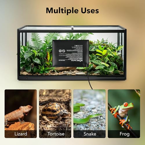BN-LINK Durable Reptile Heating Pad 6" X 8" with Digital Thermostat Under Tank Heater Terrarium Warmer Combo Set for Turtles, Lizards, Frogs, and Other Reptiles - size: 6" X 8" with Thermostat