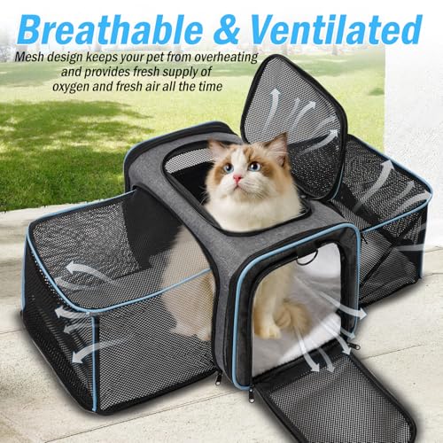 Vivicreate Cat Carrier Airline Approved Soft Sided Pet Carrier for Cats and Small Dogs Collapsible Travel Cat Bag with Ventilation Mesh Shoulder Strap and Fleece Pad
