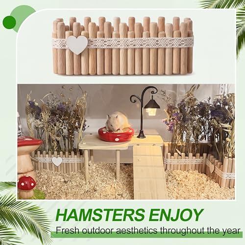 Hamster Cage Sprays Flower Foraging Holder - Natural Wood Feeding Stand, Small Pet Habitat Accessories for Hamsters Mouse Guinea Pig Dwarf Gerbils Syrian Mice (Lace - Rectangle)