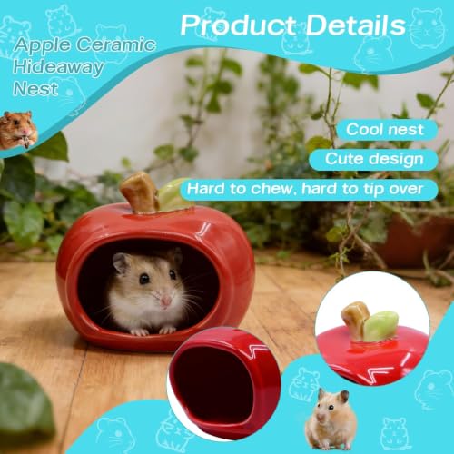 RUIAN Hamster Hideout - Ceramic Hamster Hide for Syrian and Dwarf Hamsters, Hamster House and Hamster Sand Bath Cave, Gerbil Hideout for Small Animal Cage Accessories (Red) - color: red