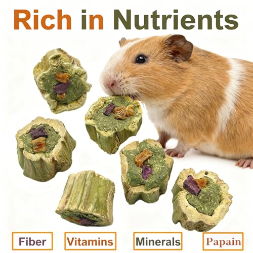 Rabbit Chew Toys for Teeth Guinea Pig Treats Papaya Wood for Bunny (3.5oz) | bunny supplies,rabbit enrichment toys,rabbit stuff,rabbit toys for bunnies boredom,for bunny guinea pig chinchilla Hamster - size: 3.5oz（A）