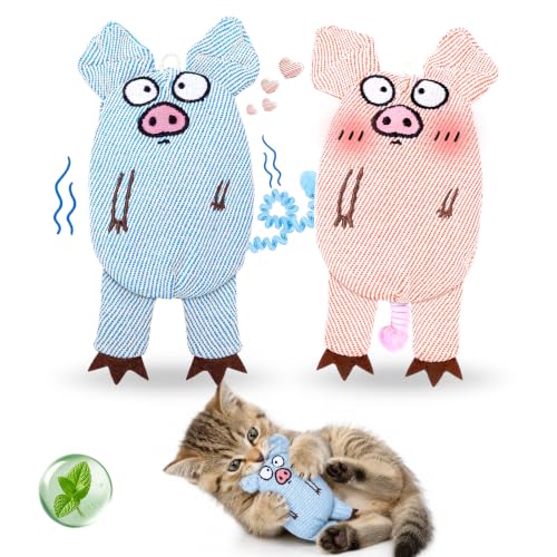 Cat Toys for Indoor Cats, 2 PCS 8000mg A+Natural Catnip Silvervine Crinkle | Interactive Cat Toys Pig with Bell Elastic Tail, Baby-Grade Plush Chew Toy Teeth Cleaning, Catnip Cat Kicker Toy for Kitten
