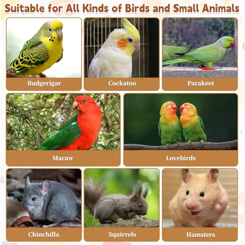 kathson Bird Wood Platform Parrot Perch Stand Parakeet Playground Cage Corner Shelf for Conures Budgies Parakeets Cockatiels Lovebirds 3Pcs - size: 6.3x2.5in,3PCS