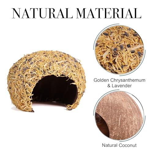 Hamster Hideout - Large, Natural Flowers, Handcrafted for Syrian Hamsters, Rats & Guinea Pigs, Safe & Eco-Friendly (Flower,Large) - size: Flower, Large