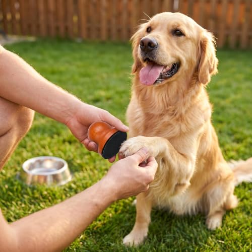31 Pcs Dog Nail File, Wooden Manual Dog Cat Nail Filer for Scratch Board with 30 Replaceable Discs