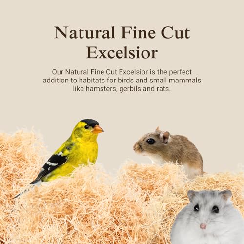 Aspen Wood Excelsior, Fine Cut, Small 2-Pack | Natural Aspen Wood Excelsior for Crafts & Animal Bedding, Cages, Soft & Absorbent, Dye-Free, Family Owned, USA Made