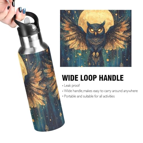 Owl Moon Moth Moon Water Bottle Kids Stainless Steel Water Bottle with Straw Lid, Leak Proof Boys Girls Insulated Tumbler Cup for School 20 oz - color: Multi21