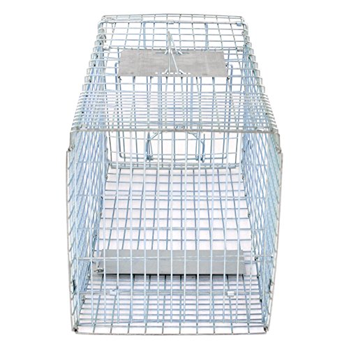 32" X 12" X 12.5" Large Live Animal Trap Cage Humane One-Door Solid Steel Catch and Release Rodent Cage for Raccoon, Rabbits, Stray Cats, Squirrel, Groundhogs, Opossums, Armadillos - style: 32" X 12" X 12.5"
