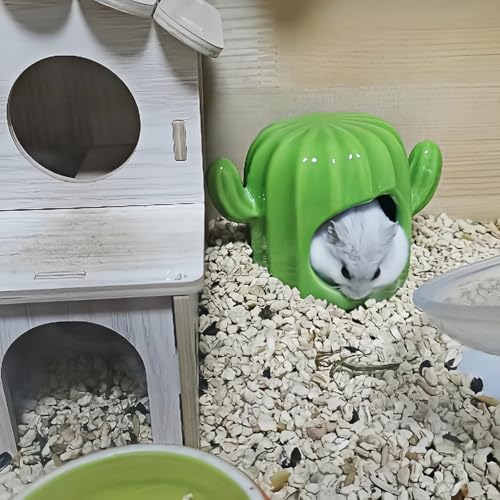 Hamster Hideout Ceramic,Hamster House and Habitats Cool Bed Ideal for All Season Dwarf Gerbil Mice Golden Bear (Green)