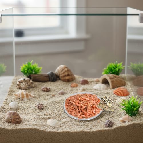 4 Pack Hermit Crab Food and Water Bowl, Small Stainless Steel Reptile Feeding Dish Bowl Mini Feeding Dishes for Hermit Crab Lizard Gecko Bearded Dragon Chameleon (2" W x 2" D x 0.4" H)