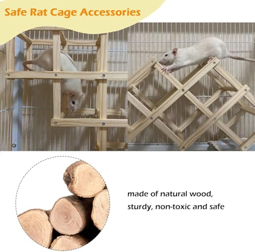 Jevnd 3-in-1 Rat Enrichment Bundle - Wooden Climbing Ladder & Foraging Toy Set - Includes 1 Natural Chew Ladder and 2 Stainless Steel Puzzle Feeders for Rats, Mice & Small Birds