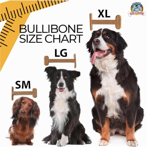 Bullibone Nylon Dog Chew Toy for Aggressive Chewers - Dental Hygiene Bone with Bacon Flavor, Durable Tough Chew Toys for Large Dogs, Indestructible Dog Bone - 2 Pack - size: Large - 2 Pack