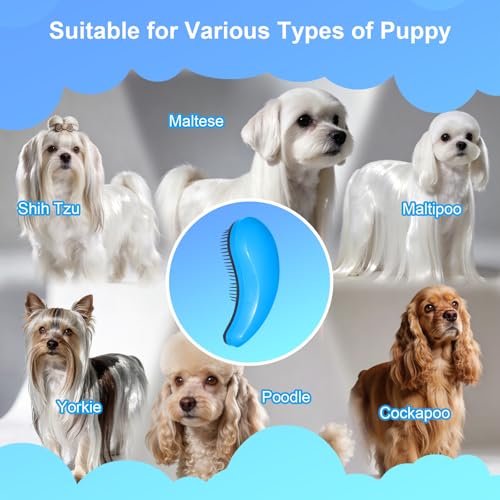 Small Dog Brush, Skin-friendly Soft Bristles (Blue) | Puppy Hair Brush, Massage and Bath Supplies, Pet Grooming Tool for Teddy, Yorkies, Maltese, Shih Tzu, Chihuahua - color: Blue