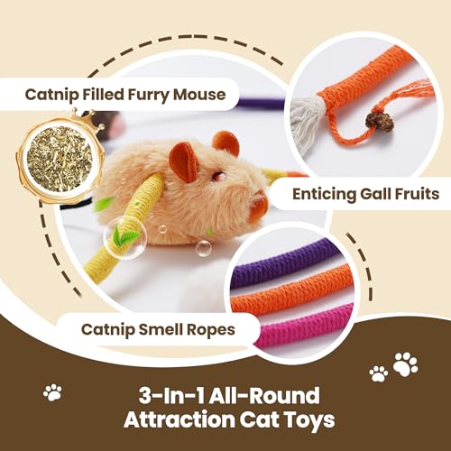 Cat Chew Ropes with Catnip Mouse, 3Pcs Cat Chew Toys for Large Cats Enrichment, 3-in-1 Catnip Toys Mouse & Strong Braided Ropes & Gall Fruits, Cats Teething Toys - color: Ropes