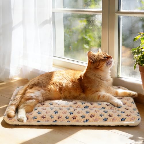 Mora Pets Cat Bed Ultra Soft Dog Crate Pad Star Print 14 x 17.5 inch Brown | Washable Crate Mat for Small Dogs and Indoor Cats, Reversible Fleece Dog Kennel Pad, Flat Pet Bed, Cat Carrier Mat - color: Brown, size: 18-Inch