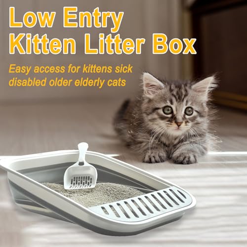 Low Entry Kitten Litter Box Collapsible Shallow Litter Box | Senior Cats Anti-Splashing Kitty Training Open Potty Pan Scoop Leak-proof pedal Cat Toilet No Smell Easy Clean - color: Grey, size: Medium