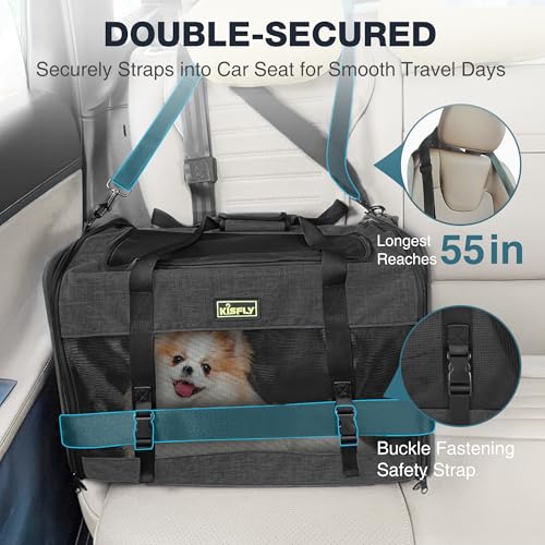 Cat Carrier 20"x13"x13", Foldable Soft-Sided Travel Pet Bag | Designed for cats and small pets with sturdy frame support, breathable mesh and seat belt compatibility for safe car travel. - color: Black, size: 20x13x13 In