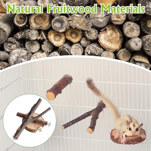 BNOSDM 6 Packs Wood Sugar Glider Toys Wooden Sugar Glider Perch Stand Climbing Hanging Cage Accessories and Sugar Glider Toy Natural Fruitwood Perch Stand Hanging Wooden Grinding Small Animal