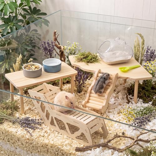 Qunclay 5 Pcs Hamster Wooden Platform Hideout Tunnels Climbing Ladder Toys with Hamster Bath Container Exploring Decor Cage Accessories for Small Animal Dwarf Syrian Mice Degus Gerbils - style: Cute