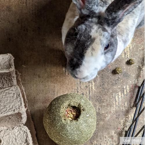 Kaytee Timothy Roll 'n' Toss Toy and Treat for Rabbits, Guinea Pigs | Dental support. Edible rabbit toys for play. 100% edible, timothy hay, grains and vegetables