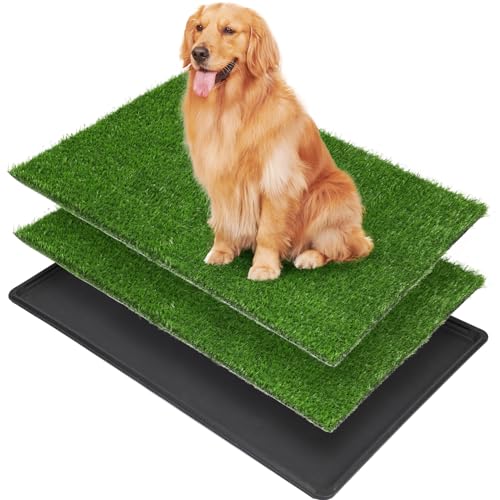 LOOBANI Dog Grass Pad with Tray - 41x26.8in for Potty Training | 2 Replacement Fake Grass Pads, Easy to Clean, Dog Litter Box, Balcony/Apartment/Indoor/Outdoor Use - size: Tray Potty 41*26.8inch