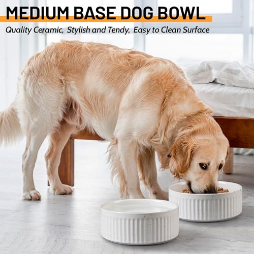 Non-Slip Ceramic Dog Bowls,8" Dog Food and Water Bowl Set with Silicone Base, 64oz/8cups Weighted Flip-Proof Pet Feeding Bowl for Medium and Large Dogs (Large,White) - color: White, size: 8 Cups