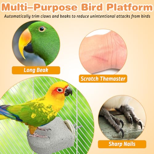 PINVNBY 6 PCS Bird Perch Bird Beak Grinding Stone Calcium Mineral Parrot Perch Foot Claws Trimmer Chew Toy Cage Accessories for Small Medium Budgie Cockatiel Conure Lovebird Finch - color: Grey, size: M, 6 pcs