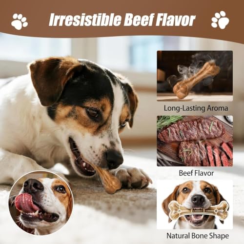 SCHITEC 3 Pack Puppy Teething Chew Toy Gift Set for Small Breeds | Dog chew bone & branch for teething puppies; natural latex squeaky ball; storage bag; ideal for small dogs.
