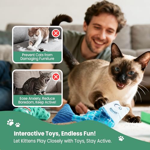 Catnip Toys Set of 3 – Fish, Chili Pepper and Cucumber Plush Cat Toys for Indoor Cats, Natural Catnip Filled Interactive Chew and Teething Toys for Kittens - color: 3 PCS