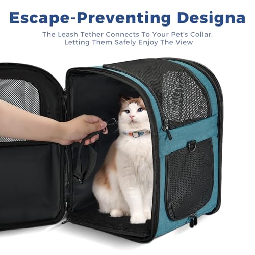 Apollo Walker Cat Carrier Backpack for Small Dogs and Cats Up to 18 lb | Side Pockets, Four-Sided Breathable Mesh, Stability Package, Removable Pad,3D back panel,Thickened shoulder straps - color: Teal