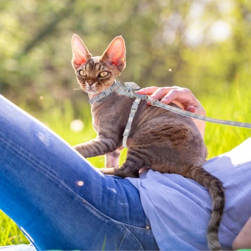 TIESOME Cat Harness and Leash Set, Adjustable Gradient Kitten Harness | Escape Proof Harness with Leash for Kitty Outdoor Walking - color: Bow Tie