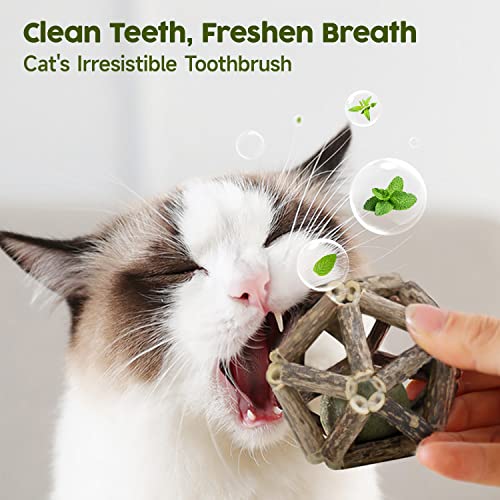 Potaroma Catnip Toys, 3Pcs Cat Toys Natural Silvervine Stick Cage Balls & Bell Ball for Indoor Cats, Kitten Cleaning Teeth Molar Matatabi Cat Chew Toy All Breeds | Kitten Cleaning Teeth Molar Matatabi Cat Chew Toy for Indoor Cats All Breeds with Bell