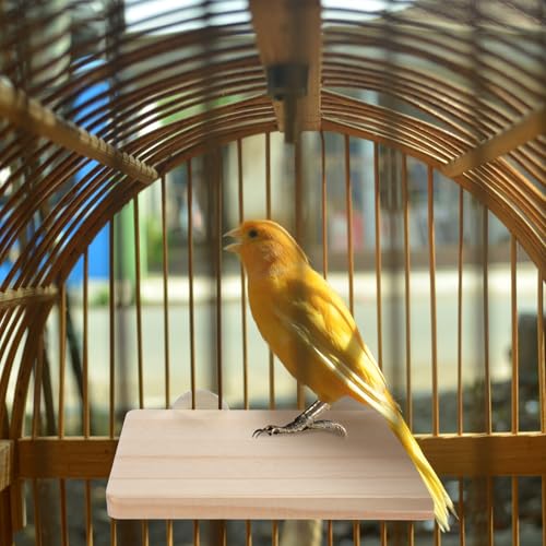 2PCS Bird Perch Platform Flat, 5.9 × 3.14 Inches Bird Cage Platform Birds Perch Stand Platforms Rectangle Stand Perches Shelf with Stainless Steel Washers for Cockatiel Rat Hamster Guinea Pig Conure