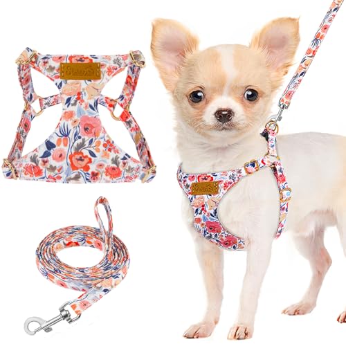 Lukovee Puppy Harness and Leash Set, No Pull, Lightweight Step in Vest | Adjustable, Soft Suede Vest, Easy Put on and off Pet Harness with Snap Buckle & 51in Leash for Small Medium Dogs (Flower,XXS) - color: Flower, size: XX-Small ( 2.2-6lb )