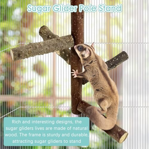 Sugar Glider Toy Natural Fruitwood Perch Stand Squirrel Hanging Wooden Climbing Pole Hamster Paw Grinding Perch Small Animal Cage Accessories for Chinchillas Rats Gerbil - color: Applewood - Climbing Perch
