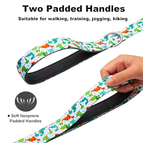 5FT 1IN Double Handle Dog Leash for Medium Large Dogs, Green | Dinosaur Pattern, Heavy Duty Nylon Webbing, Two Padded Handles, Durable Dog Leash with Traffic Handle for Walking, Training - color: Dinosaur, size: 1 in x 5 ft