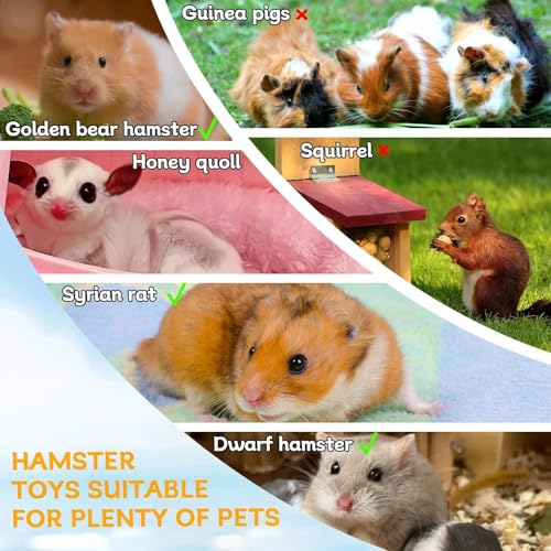 Hamiledyi Wooden Hamster Tunnel 2-Chamber Hideout Tunnel Multi Chamber Exploring Toy Platform 11 x 5.3 x 4.3 Cage Accessories for Syrian Hamsters Rat Mice - size: L