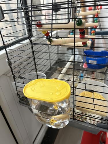 Bird Water Bottle 330ml Automatic Leak Proof Drinking Dispenser for Cage | External Cage Waterer Large Capacity for Parakeet Cockatiel Budgie Finch Lovebird –– Easy Clean